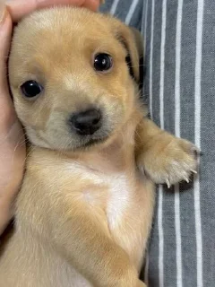 Sticker Больше стиков тут: @stikery4 - 1