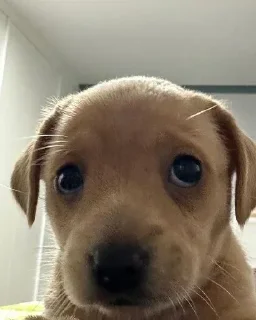 Sticker Больше стиков тут: @stikery4 - 10