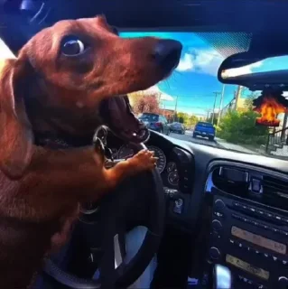 Sticker Больше стиков тут: @stikery4 - 6