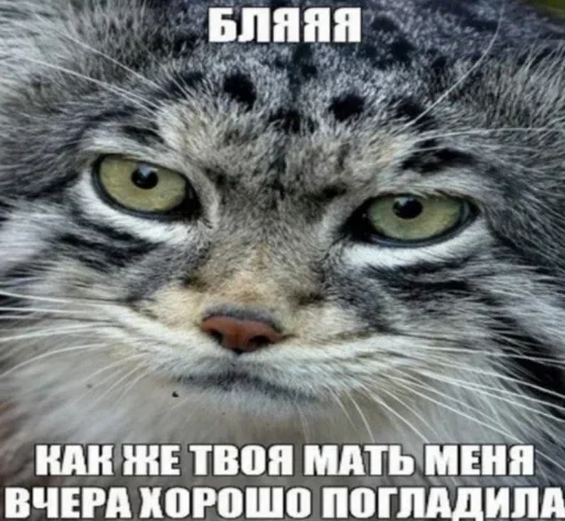 Больше стиков тут: @stikery4 - 