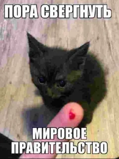 Sticker Больше стиков тут: @stikery4 - 7