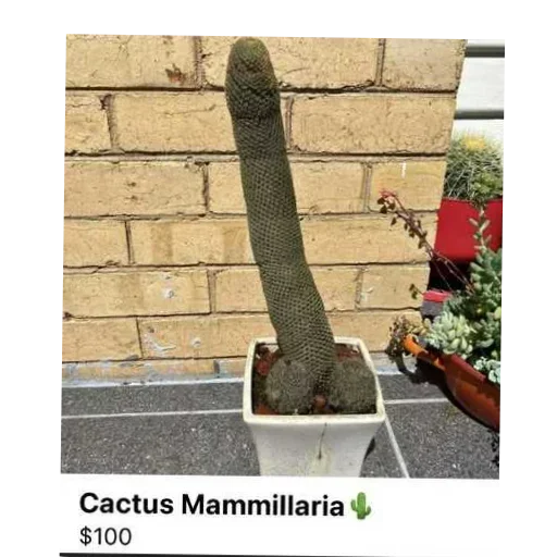 Больше стиков тут: @stikery4 - 