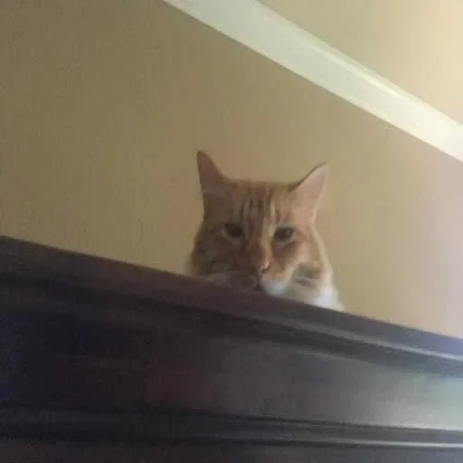 Стикер set_776_by_makestick3_bot - 1