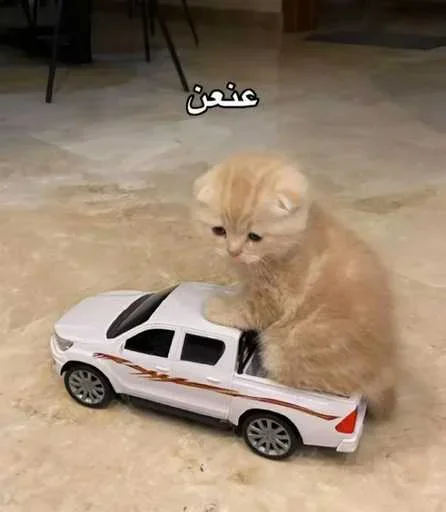 Sticker set_776_by_makestick3_bot - 1