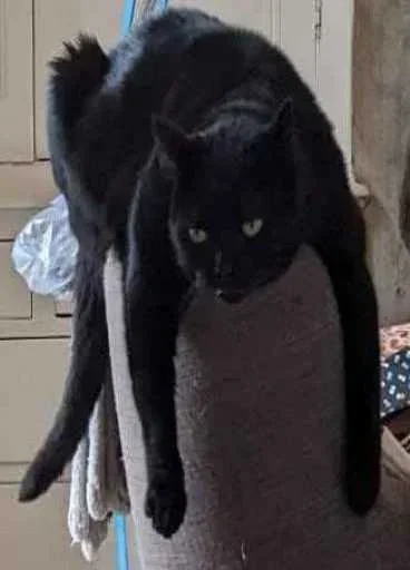 Sticker set_776_by_makestick3_bot - 1