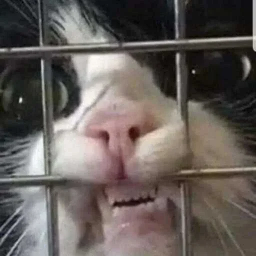 Sticker set_776_by_makestick3_bot - 1