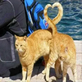 Sticker Больше стиков тут: @stikery4 - 3