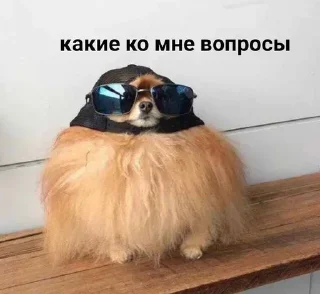 Sticker Сказал как боженька @Vikysha_Andrevna - 7