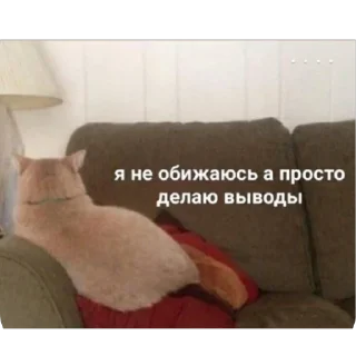 Sticker скиторы оли - 2