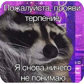 Sticker скиторы оли - 6