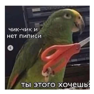 Sticker скиторы оли - 8