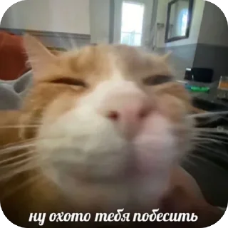 Sticker скиторы оли - 9