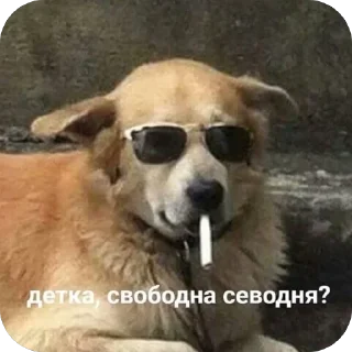 Sticker скиторы оли - 3