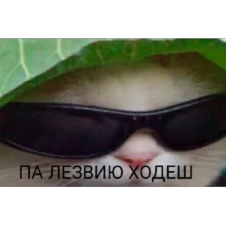 Sticker скиторы оли - 10