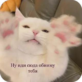 Sticker скиторы оли - 5