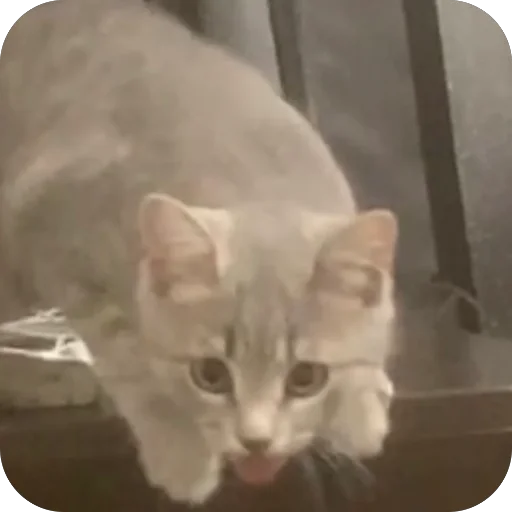 Стикер sonya_9bcfd_by_TgEmodziBot - 1