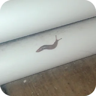 Sticker соня иди нахуй - 5