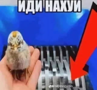 Стикер Ондыго @TgEmodziBot - 1