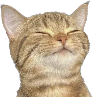 Стикер 123 @MoiStikiBot - 3