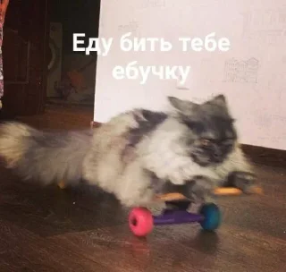 Стикер 123 @MoiStikiBot - 9