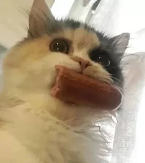 Стикер 123 @MoiStikiBot - 11