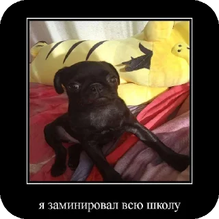 Стикер Very funny stickers @SozdaiStickeriBot - 4