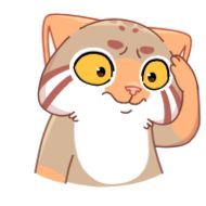 Стикер Teacup @TalbiMidou - 1