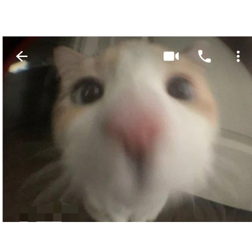 Sticker sti_Valve_by_MoiStikiBot - 1