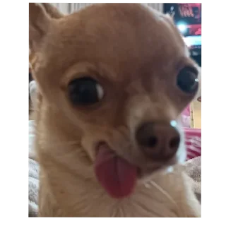 Стикер Valve контора пидорасов @prowagetu - 9