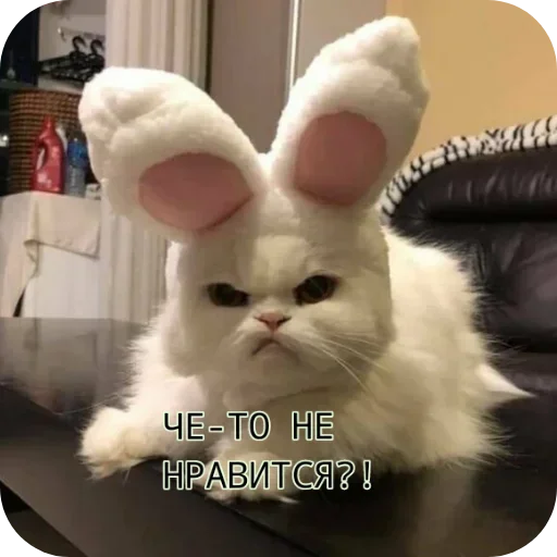 Стикер sti_op_by_MoiStikiBot - 1