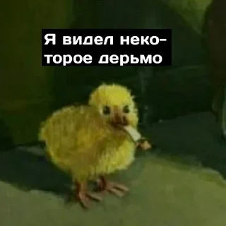 Стикер опна @MoiStikiBot - 1