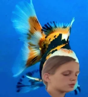 Стикер ШАНЕЛЬ🤭🤫 @TgEmodziBot - 3