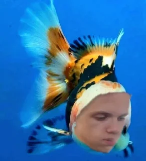 Стикер ШАНЕЛЬ🤭🤫 @TgEmodziBot - 7