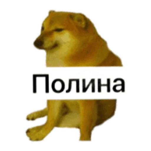 Черный ветеринарный юмор от @polavavilova - 