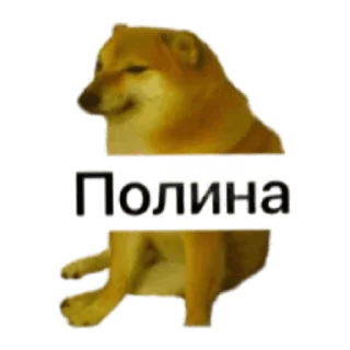 Стикер Черный ветеринарный юмор от @polavavilova - 4