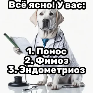 Стикер Черный ветеринарный юмор от @polavavilova - 3