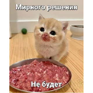 Sticker всякая всячина by @endlles_emptiness - 3