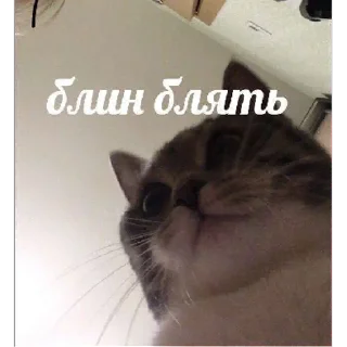 Sticker всякая всячина by @endlles_emptiness - 7