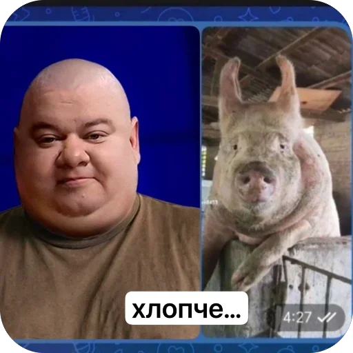 Sticker stickers_17_by_e4zybot - 1