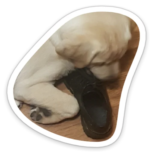 Sticker stickers_with_yasmina - 1