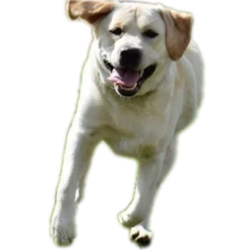 Sticker stickers_with_yasmina - 1