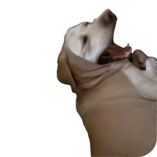 Sticker stickers_with_yasmina - 1