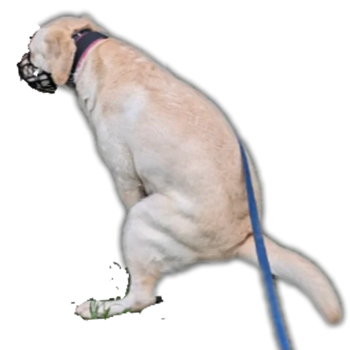 Sticker stickers_with_yasmina - 1