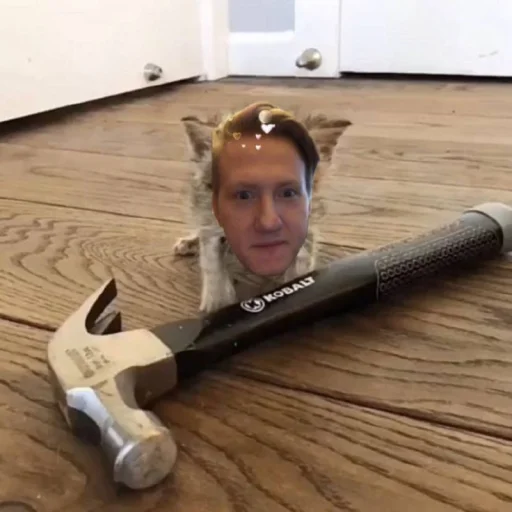 Sticker sticks_14fab_by_MoiStikiBot - 1