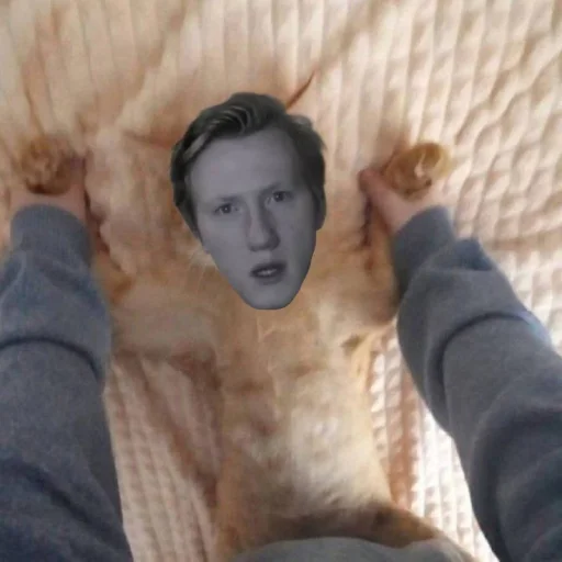 Стикер sticks_14fab_by_MoiStikiBot - 1