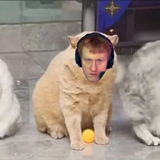 Стикер R @Dkbzl - 8