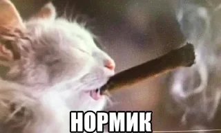 Sticker Yet To Die  xDd @TgEmodziBot - 7