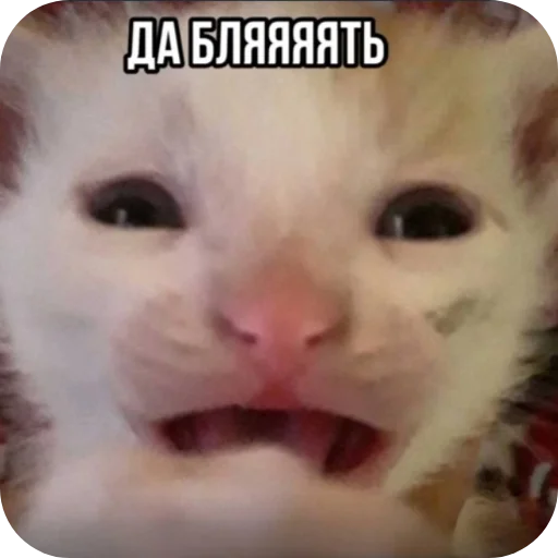 Sticker sticks_plokhoj_malchik_by_TgEmodziBot - 1