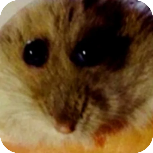 Sticker sticks_plokhoj_malchik_by_TgEmodziBot - 1