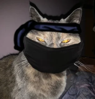 Sticker смешнявки @MoiStikiBot - 3